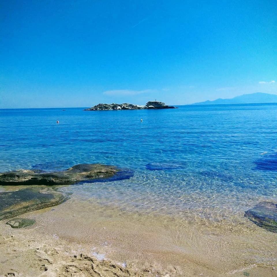 Jasmine Luxury Palaiontsiflikion